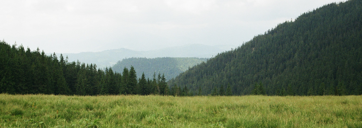 brands banner